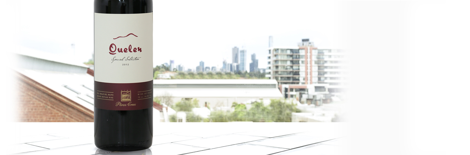 Vang chile Quelen 2013