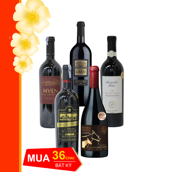 Combo 03: Mua 36 chai vang bất kỳ Tặng tủ 52 chai hoặc đùi heo Iberico 24 tháng