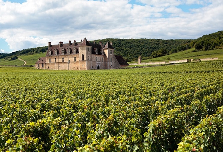 Những vùng rượu vang Pháp chính tại Burgundy