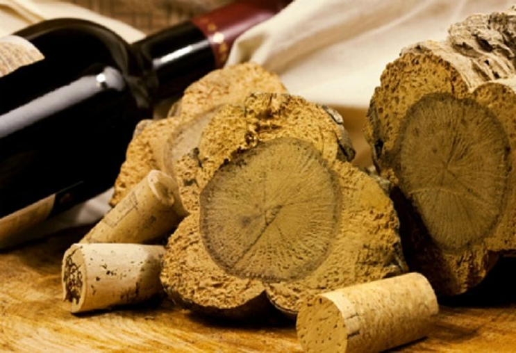 Nút bần của rượu vang và những điều bạn chưa biết