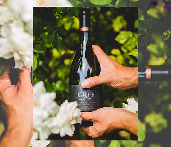 Rượu Vang Chile Grey trắng Rượu Vang Chile Grey trắng